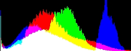 Histogram